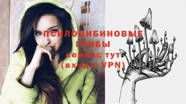 метадон Бородино