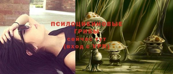 метадон Бородино