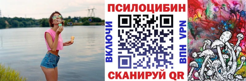 где можно купить наркотик  Пересвет  Галлюциногенные грибы ЛСД 